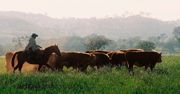 La Nación / Destino LN: el turismo de estancia invita a disfrutar de la naturaleza y la vida campestre