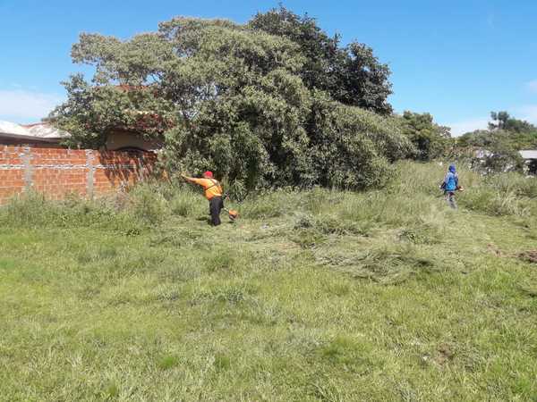 Intervienen terreno baldío en el barrio San Isidro – Prensa 5