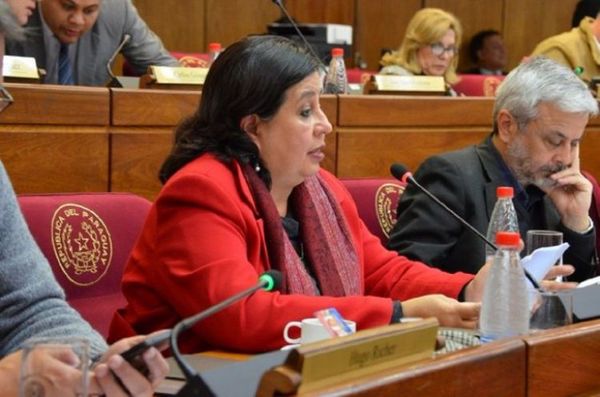 Arancel cero: Senadora critica decreto y dice que Abdo exhibe su afecto al stronismo