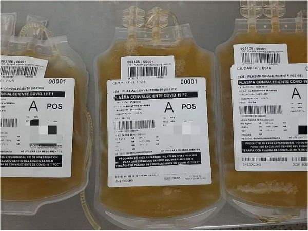 Baja número de donantes de plasma para tratamiento contra el Covid