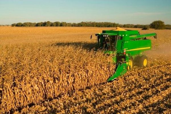 Buenas cosechas generan grandes expectativas para el 2021 - Noticde.com