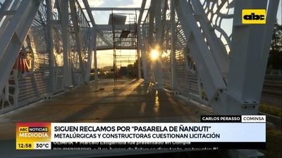 Metalúrgicas y constructoras cuestionan licitación de la “Pasarela de Ñanduti” - ABC Noticias - ABC Color