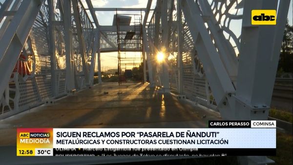 Metalúrgicas y constructoras cuestionan licitación de la “Pasarela de Ñanduti” - ABC Noticias - ABC Color
