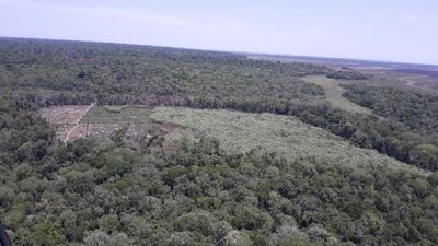 Jueza admite diligencia iniciada por campesinos contra la Reserva Morombi