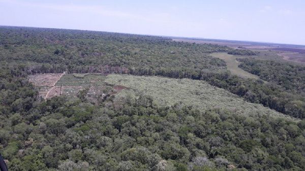Jueza admite diligencia iniciada por campesinos contra la Reserva Morombi