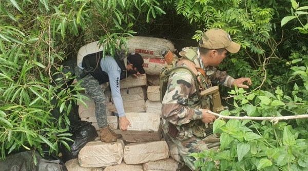 En Reserva Maracana eliminan más de 5 toneladas de marihuana a estructura narco