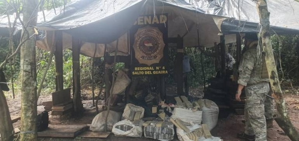 HOY / SENAD anula más de 5 toneladas de marihuana dentro de la Reserva Maracaná