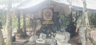 SENAD destruye 15 toneladas de marihuana en dos operativos en el norte del país - ADN Digital