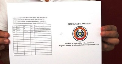La Nación / Fiebre amarilla: certificado internacional de vacunación es requisito obligatorio para viajar