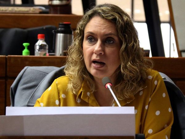 Diputada sostiene que Villamayor se lavó las manos tras interpelación