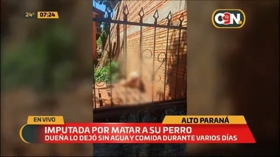 Imputan a mujer que dejó morir a su perro de hambre y sed