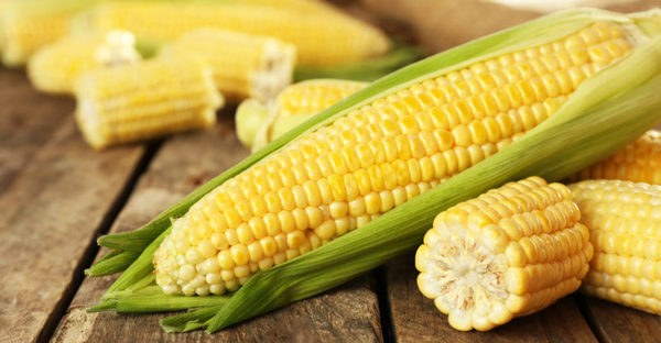 Se retoman envíos de maíz a Colombia luego de 7 años