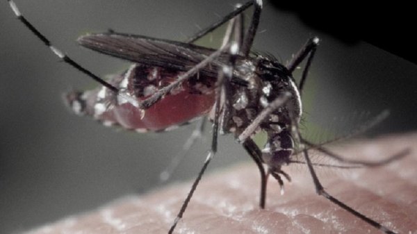 Joven de 19 años es la primera víctima de dengue | Noticias Paraguay