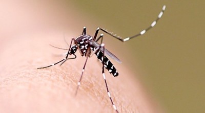 Mazzoleni confirmó el primer fallecimiento por dengue de lo que va del año, un joven de 19 años del departamento de Ñeembucú