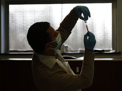 Variante británica del coronavirus apunta a una mayor mortalidad - Mundo - ABC Color