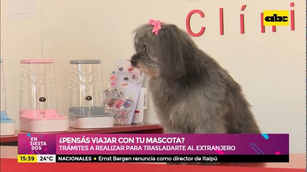 ¿Pensás viajar con tu mascota? Te contamos que trámites tenés que realizar (Parte 1) - Ensiestados - ABC Color