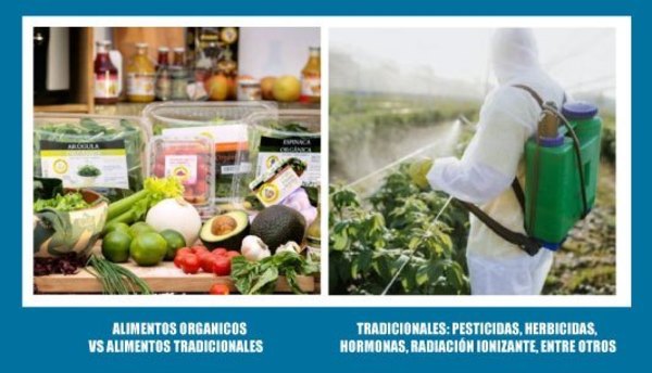 ALIMENTOS ORGÁNICOS VS ALIMENTOS TRADICIONALES - La Voz del Norte