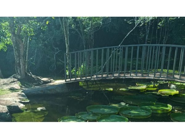 El yrupê, un gran espectáculo muy visitado en un parque de Hohenau