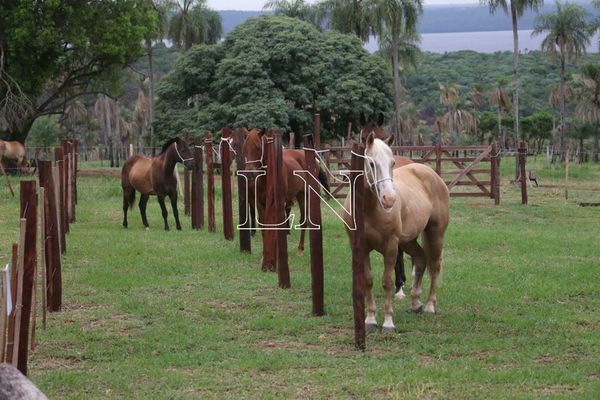 Viví una aventura ecuestre en Haras La Valtellina