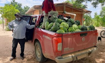 Indígenas logran buena producción de sandía en el Chaco