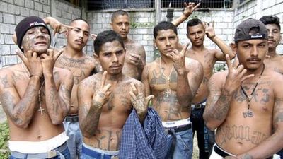Historia criminal de la Mara Salvatrucha: cómo pasó de pandilla callejera en Los Ángeles y El Salvador a organización terrorista