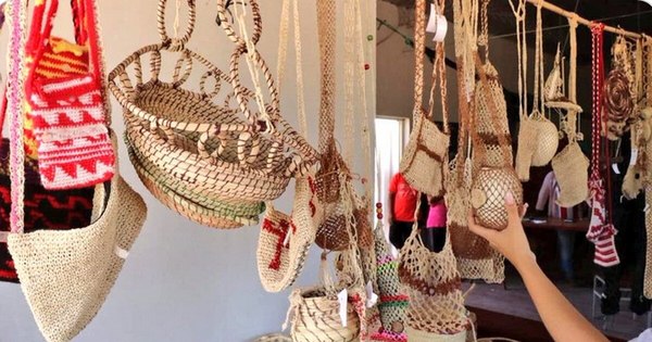 La Nación / Buscan potenciar el Chaco como opción para atraer turistas
