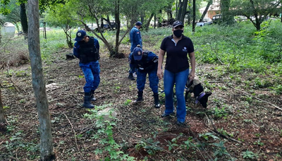 Reanudan búsqueda de Dahiana en baldío con un can especializado - Noticiero Paraguay