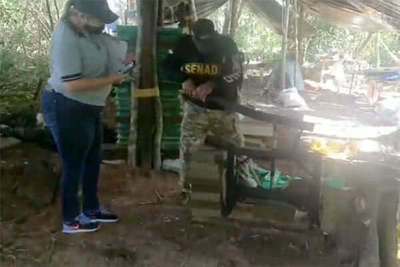 Itapúa: Incautaron dos toneladas y media de marihuana en General Delgado | OnLivePy