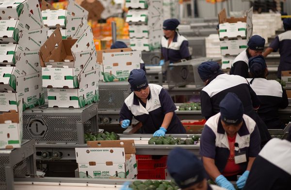 La actividad económica cayó un 3,9 % anual en noviembre - MarketData