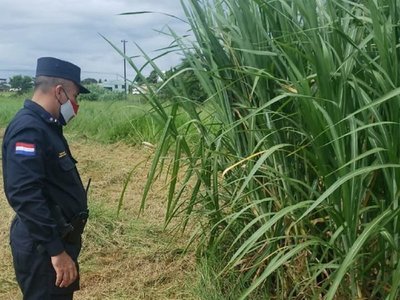 Hallan cadáver en estado de putrefacción en Hernandarias