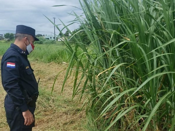 Hallan cadáver en estado de putrefacción en Hernandarias