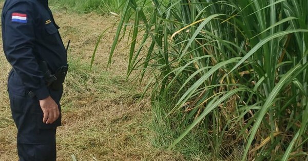 La Nación / Hallan cadáver atado con cable en un predio baldío de Minga Guazú