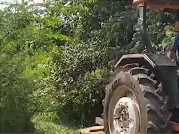 Tras críticas por yuyal, MOPC limpia el Parque Guasu