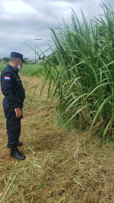 Hallan cadáver atado con cable en un predio baldío de Minga Guazú