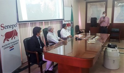 Millonaria inversión en procreo bovino busca mejorar el ganado a nivel de pequeños productores - La Mira Digital