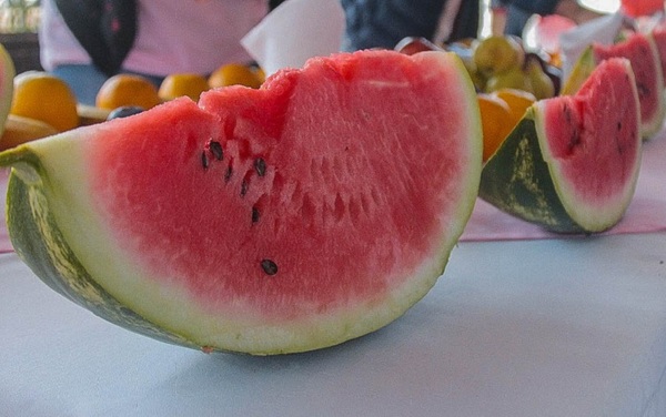 ¿Cómo debemos alimentarnos en verano?