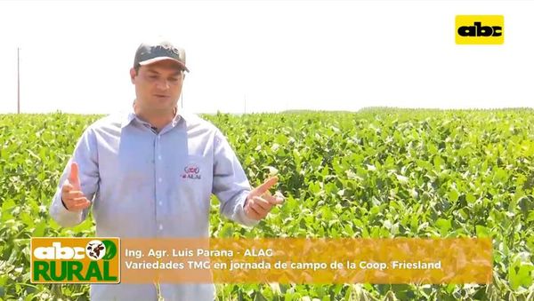 ABC Rural: ALAG y sus variedades TMG en Friesland - ABC Rural - ABC Color