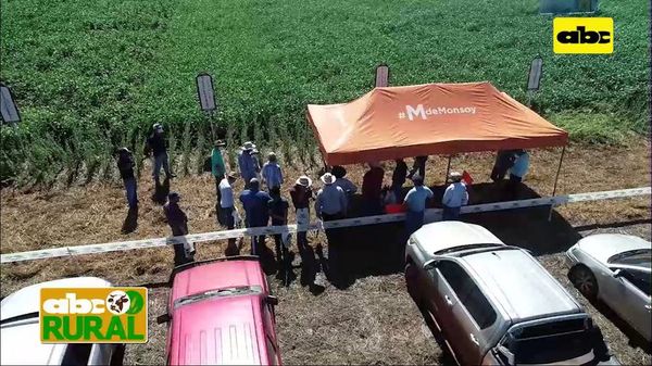 ABC Rural: Inbio presente en Friesland con variedades Sojapar - ABC Rural - ABC Color