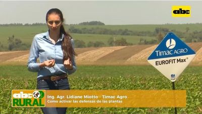 ABC Rural: Como activar las defensas de las plantas - ABC Rural - ABC Color