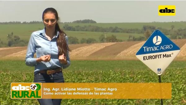 ABC Rural: Como activar las defensas de las plantas - ABC Rural - ABC Color