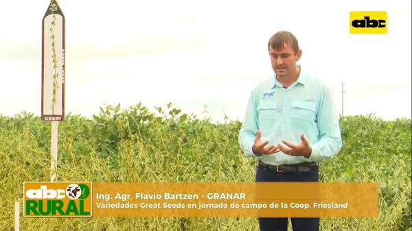 ABC Rural: Great Seeds en Friesland - ABC Rural - ABC Color