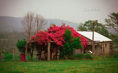 Exuberantes paisajes de Caazapá son captados por una guaireña - Nacionales - ABC Color