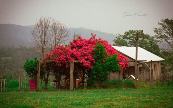Exuberantes paisajes de Caazapá son captados por una guaireña - Nacionales - ABC Color