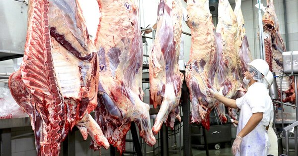 La Nación / Mejoran precios de ganado en las primeras semanas del 2021