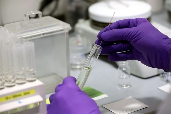 Un antiviral español reduce casi al 100% la carga viral de SARS-Cov-2 - Mundo - ABC Color