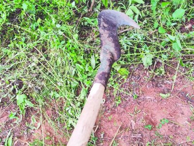 Un golpe de foisa liquidó a perrito y denuncian a dueño