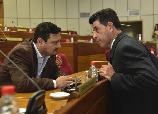 Bancada B del PLRA también anuncia rechazo a Federico González en Itaipú - Nacionales - ABC Color