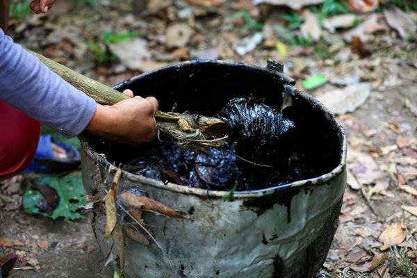 Una corte de Ecuador acepta la demanda de varias niñas para eliminar mecheros en la Amazonia - MarketData