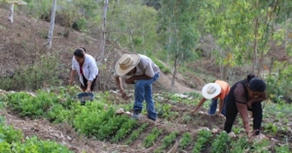 La Nación / FAO Paraguay y RREE firman acuerdo