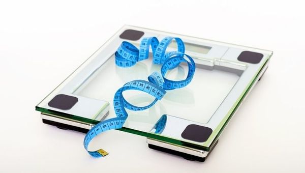 Queremos bajar de peso rápido pero, ¿qué tan saludables son las dietas que encontramos en internet?